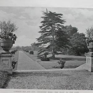 SudbourneHall1901garden